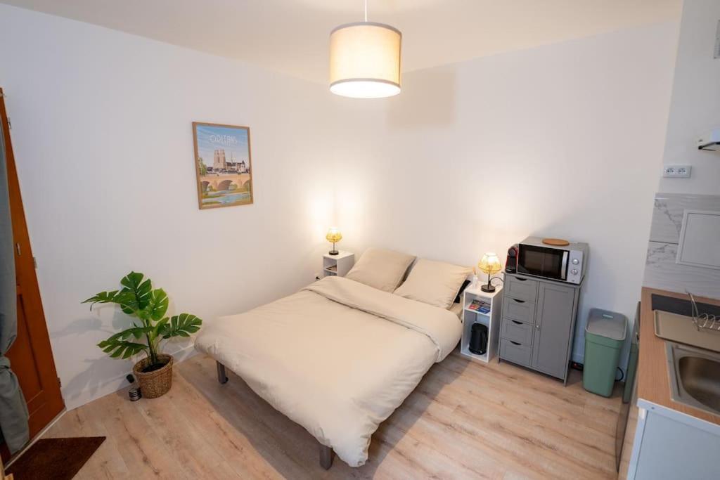 Studio Du Puits Hyper Centre 奥尔良 外观 照片